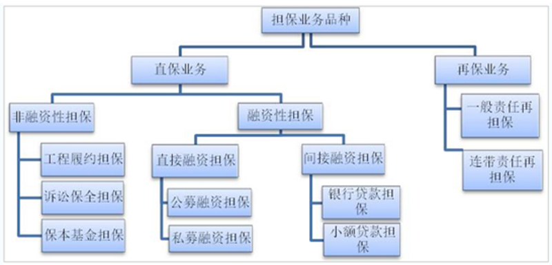 2026年中小企业融资趋势：信用担保公司是“加速器”还是“双刃剑”？
